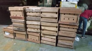 Project udara pengiriman bibit kentang